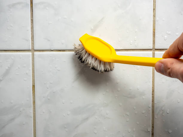 Best Toxic Mold Removal  in Marysville, WA