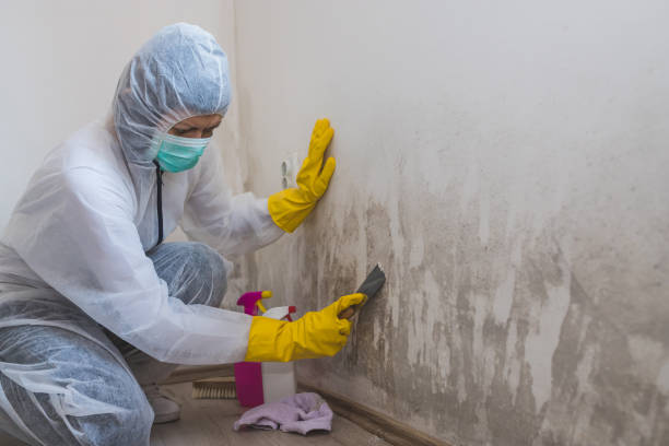 Best Crawl Space Mold Removal  in Marysville, WA