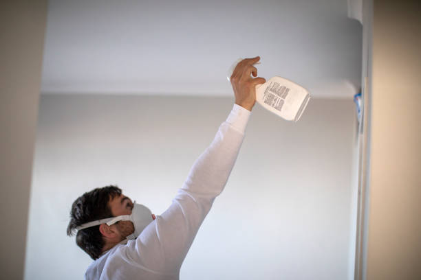 Best Certified Mold Removal  in Marysville, WA