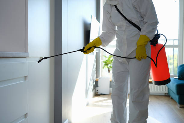 Best Home Mold Removal  in Marysville, WA