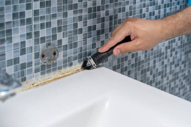 Best Mold Removal Company Near Me  in Marysville, WA
