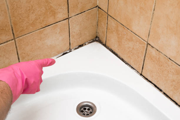 Best Mold Testing  in Marysville, WA